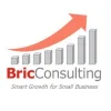 Bric Consulting logo